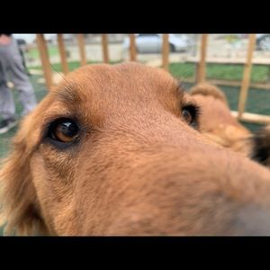 Meet your Posher, Morgan